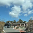 3706 | 제주 서귀포시 카멜리아힐 맛집 고등어쌈밥 중문고등어쌈밥 후기