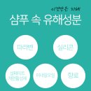 머리해,봄 이미지