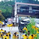 무릉도원자연펜션 이미지