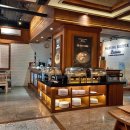 호텔태그(Hotel Tag) | 발리 꾸따 스타크부티크호텔 stark boutique hotel 공항 근처 가성비 호텔