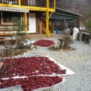 오로라가든 펜션 이미지