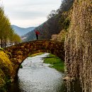 영산 연지못 이미지