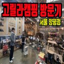 고릴라캠핑서울 - 영등포구 양평로28아길 9 | 고릴라캠핑서울