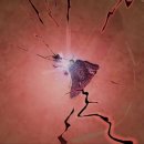 신세계PC 이미지