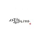 캘리송 이미지