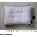 레노마홈부산