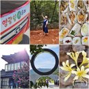 [공지] 전남 영광 가볼만한곳 쉼투어 버스여행 물무산 법성포 굴비정식 불갑사 꽃무릇