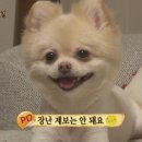 복기목장 네이버블로그