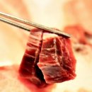 참치대가 이미지