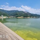 초록 태양광발전소 네이버블로그