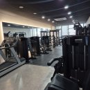 머슬원핏 시화점 이미지