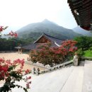 밀양사계절야영장 이미지