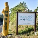 제주도 워크샵, 제주 머체왓숲길에서 이색 워크샵프로그램-(주)제주생태관광