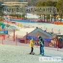 플레이몬스터즈어린이스포츠 | 지산어린이스키강습 지산스키장리조트 플레이몬스터즈 키즈 1:1 개인레슨 후기