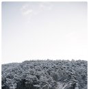 담양송죽헌 이미지