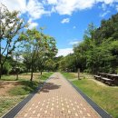 도학야영장 이미지