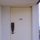 퐁낭 에염 이미지