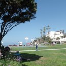 생동감 넘치는 라구나 해변(Laguna Beach) 풍경 이미지