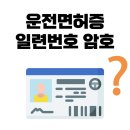 운전면허증 일련번호의 의미 이미지