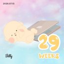 김유순농장 | [임신일기 29주-30주] 산전육휴 시작, 휴직자의 일상, 대호강주간