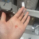 롯데쇼핑(주) 롯데슈퍼퇴계원2호점 | [Week20] 20대 후반부의 새로운 도전 테니스 시작 :)