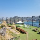 마이다스의손 이미지