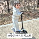 컬러킥앤복싱 | 4살 킥보드 추천 스쿳앤라이드 킥3 어린이날 선물 고민 해결