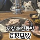 뽈살 | 포항 장성동맛집 애견동반 돼지반장 야장에서 즐기는 뽈살 막창 후기