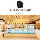 퍼피슈가 이미지