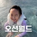 차니푸드 | 오션월드 겨울에도 갈 수 있을까? 방문 후기 및 이용정보, 준비물 총정리