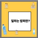 배말타운A 경로당 | 일하는 밥퍼 어르신 20만 명 몰린 인기 비결