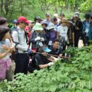 나무이야기 협동조합 이미지