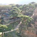 청도신화랑에코트레일 이미지