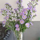 헤이커피(hey coffee) 이미지