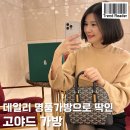 논스톱시계아울렛 | [공지] 고야드 가방과 여자명품가방의 성지인 캉카스백화점 고야드백 Pick한 후기