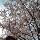 원신공원 이미지