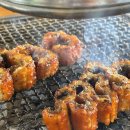 황토장어 이미지