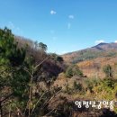 자작농장 이미지