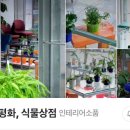 평화와평화;식물상점 이미지