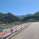 천도리양지마을 이미지