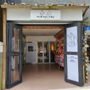 제선현 고양이 미용실 이미지