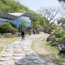 커피와소나무 이미지