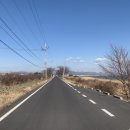 다육공방 네이버블로그