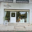 아우첼라플라워 이미지
