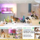 골든스웨터 캐터리 이미지