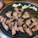119딧고기 이미지