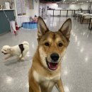 동구동행정복지센터.엘마트 이미지