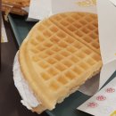 와플대학홍천캠퍼스