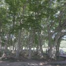 녹색관광정거장 이미지