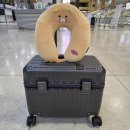 디자인위로 | [생활] 위로열리는 루프캐리어 후기(1-2박 강추!) #코르딕스 내돈내산 #루프캐리어 #1박용캐리어...